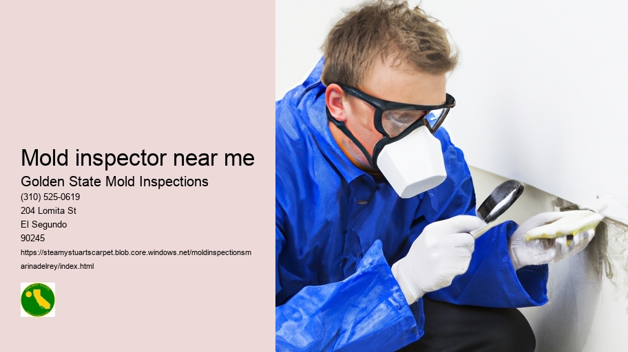 Mold inspector near me