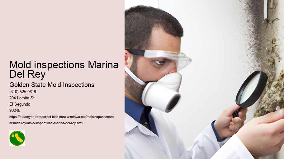 Mold inspections Marina Del Rey