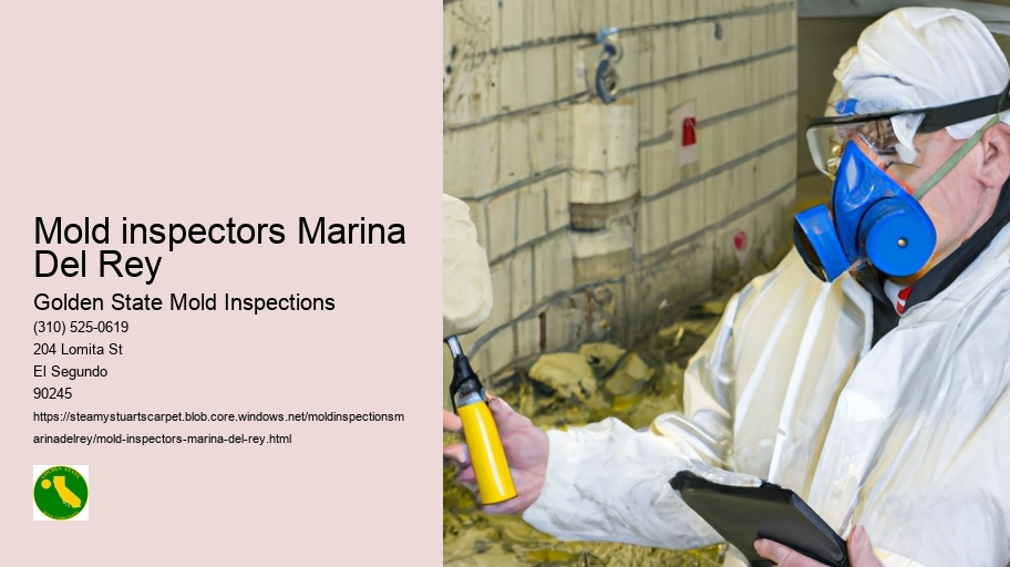 Mold inspectors Marina Del Rey