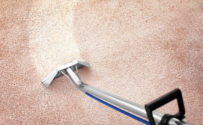 carpet cleaning vacuum rental