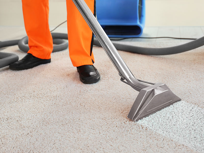 commercial carpet cleaning delaware county pa