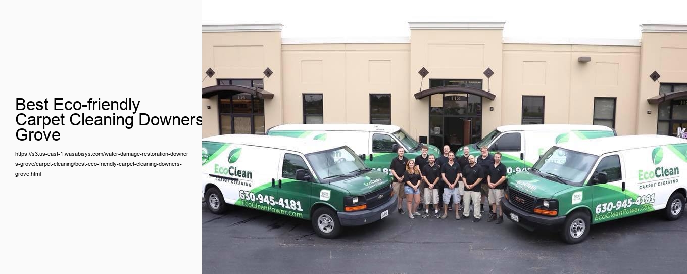 Best Eco-friendly Carpet Cleaning Downers Grove