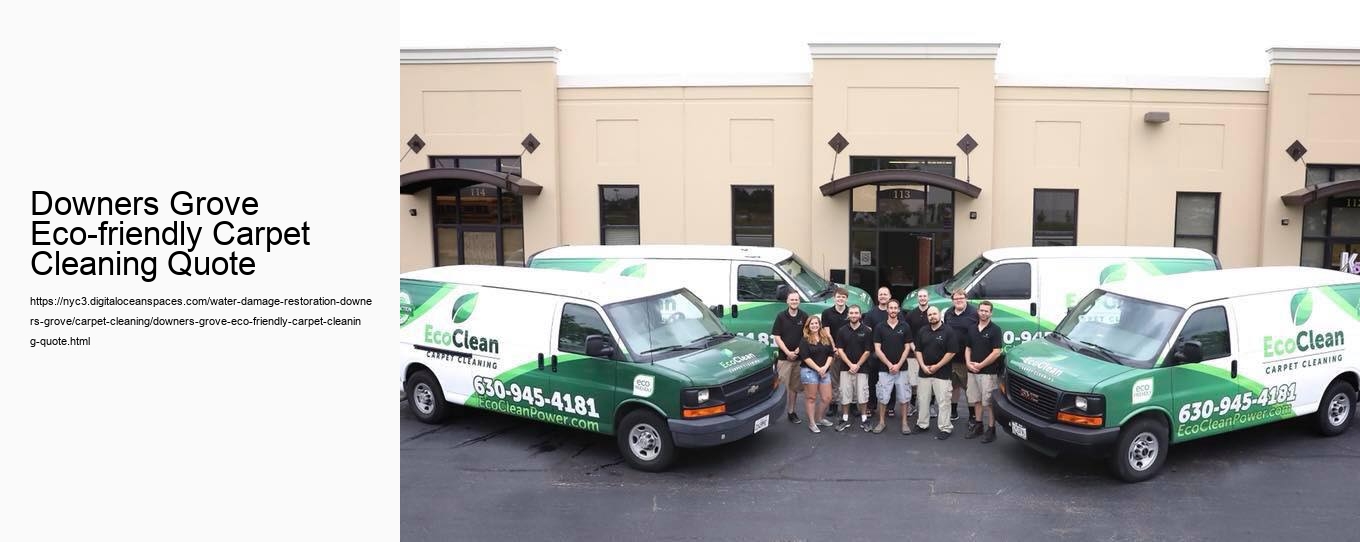 Downers Grove Eco-friendly Carpet Cleaning Quote  Downers Grove Eco-friendly Carpet Cleaning Quote