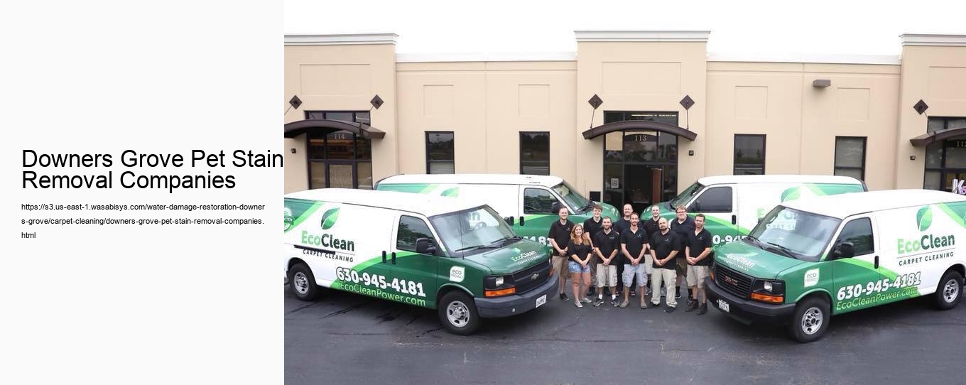Downers Grove Pet Stain Removal Companies