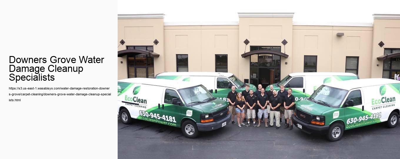 Downers Grove Water Damage Cleanup Specialists