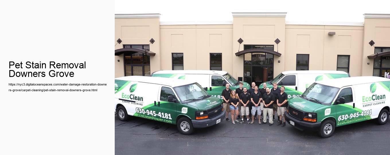 Pet Stain Removal Downers Grove