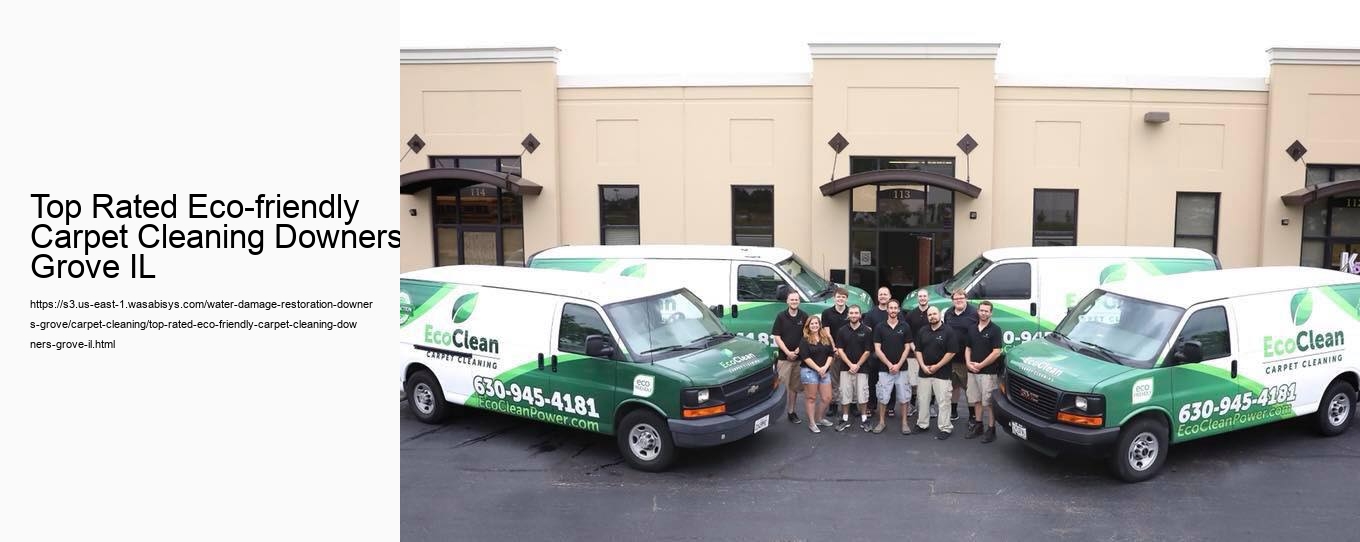 Top Rated Eco-friendly Carpet Cleaning Downers Grove IL